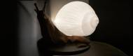 Snail Lamp